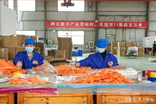2020最难 打工人 每天一睁眼,就是300人的生存