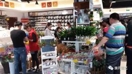 盆景销售渠道初探 : 未来销售的主渠道或要转向!